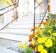 beautiful front door